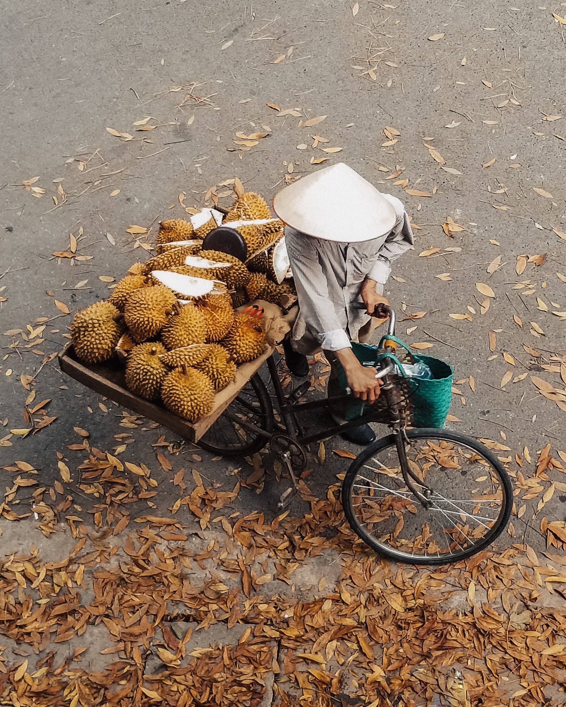 durian farmer